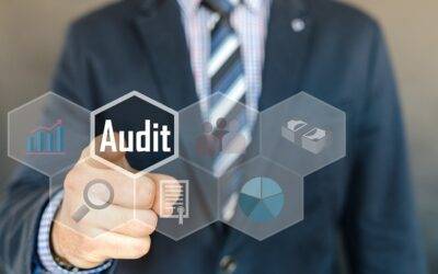 Why Every Business Needs Audit Protection: Exploring the Risks of Audits
